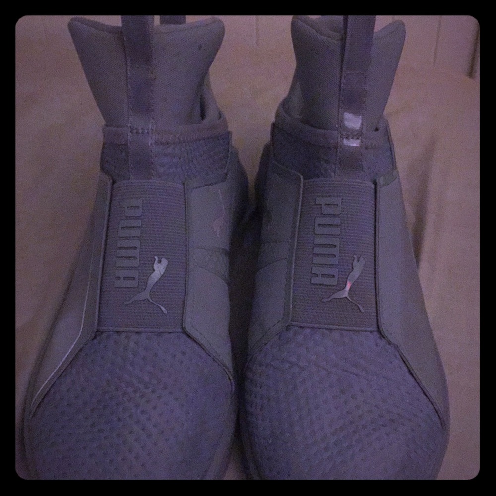Grey puma